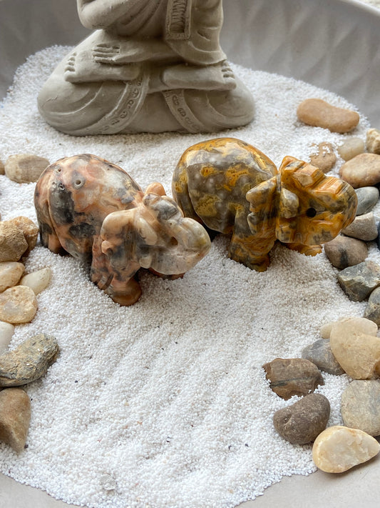 Eléphant en Agate Crazy Lace