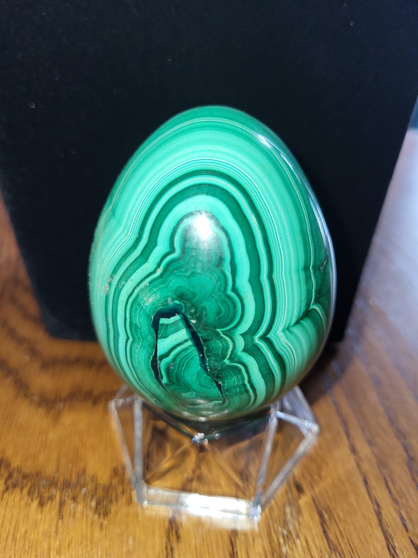 Oeuf en Malachite claire du Congo