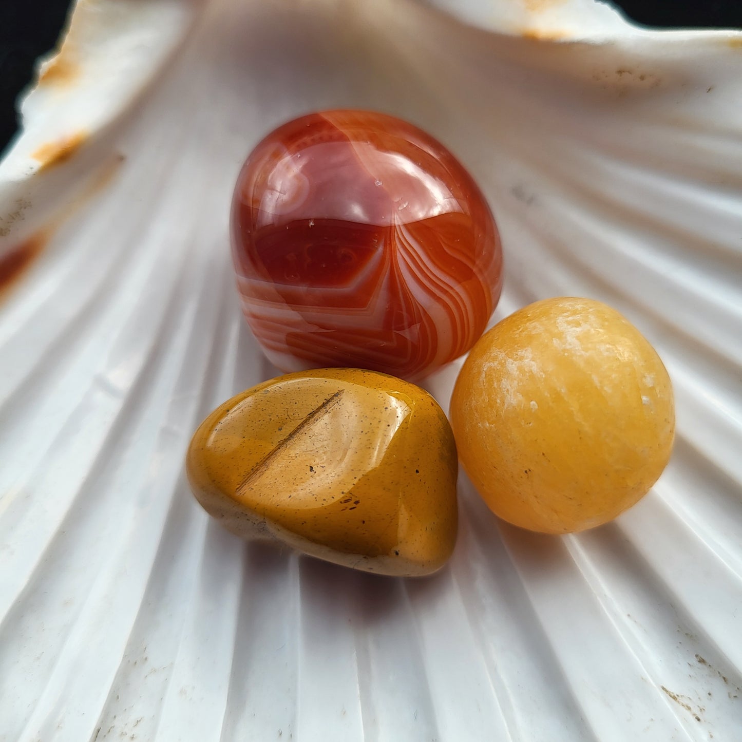 Pack Énergie & Vitalité — Cornaline Bandée, Jaspe Mokaïte & Calcite Orange